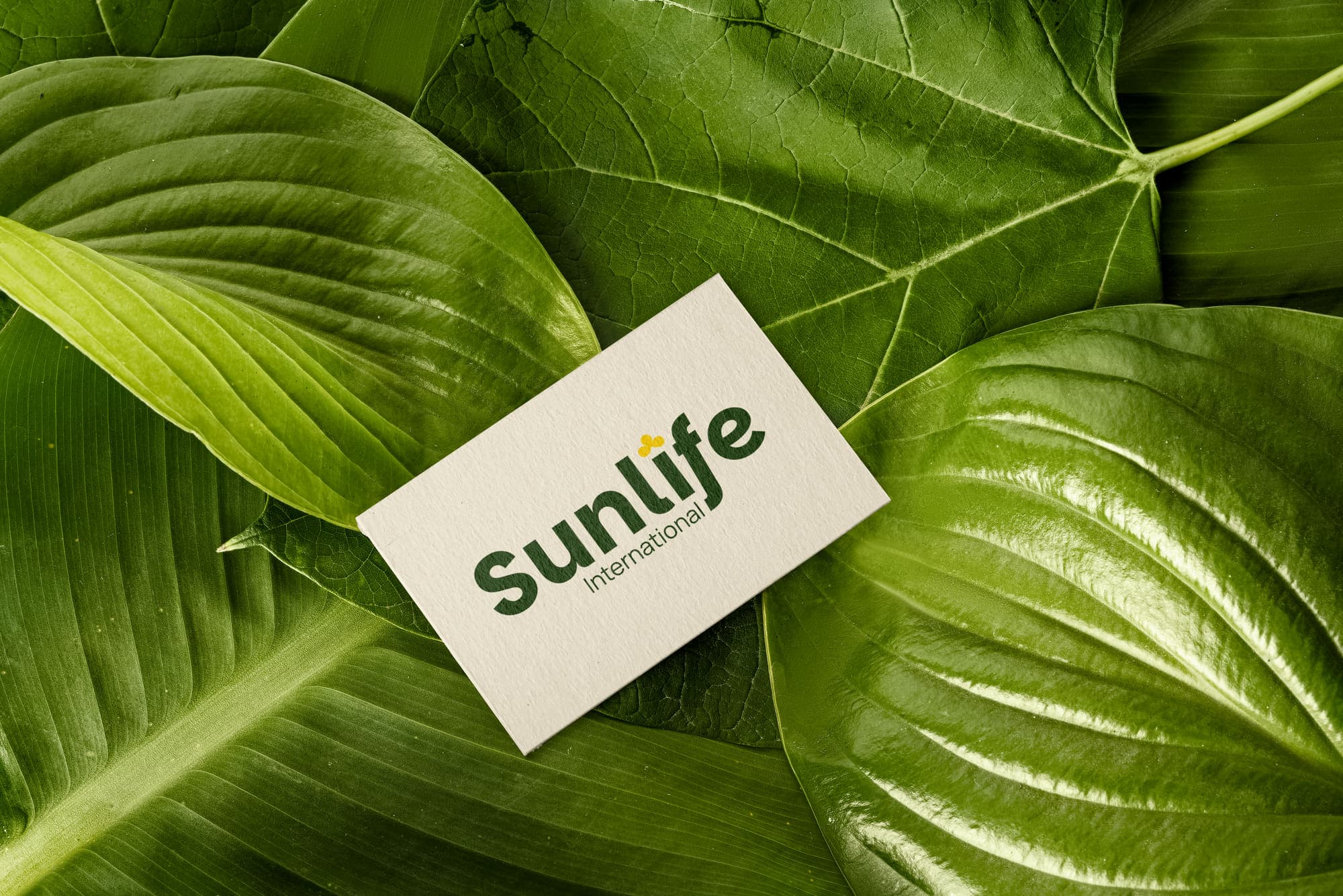 Sunlife International, business card